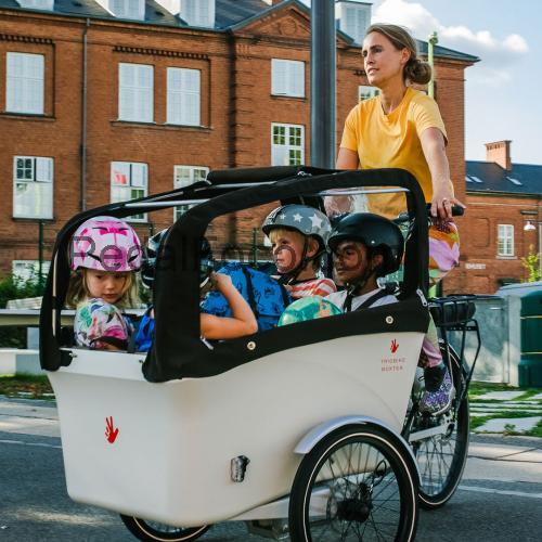 Triobike Boxter ficha tecnica